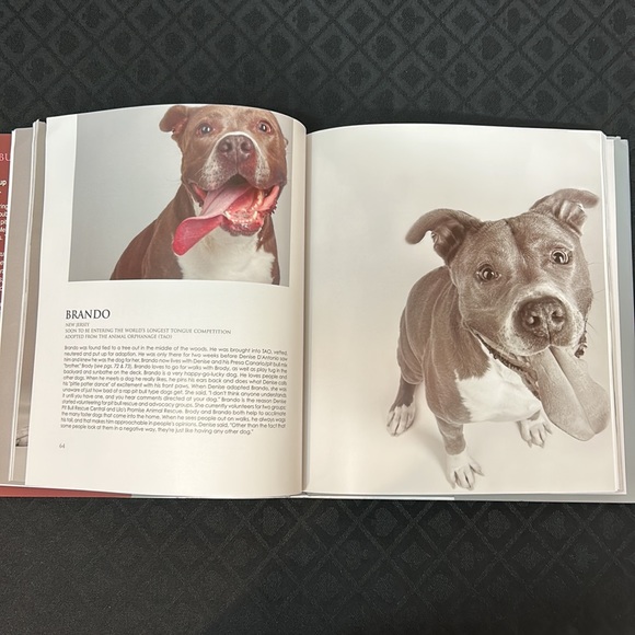Pit Bull Mug & Book: Pit Bulls & Pit Bill Type Dogs by Melissa McDaniel - Picture 5 of 16